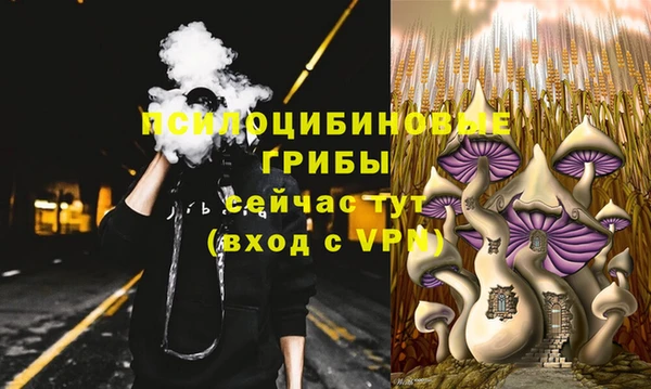 ешки Верея